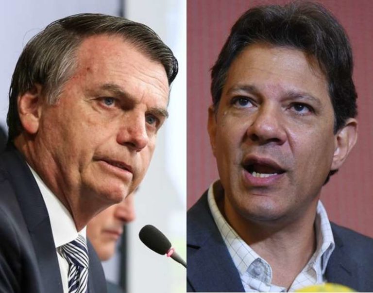 Haddad e Bolsonaro brigam no Twitter sobre ‘anti-intelectualismo’