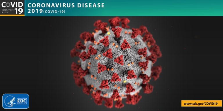 Informe sobre a doença pelo Coronavírus (COVID-19)